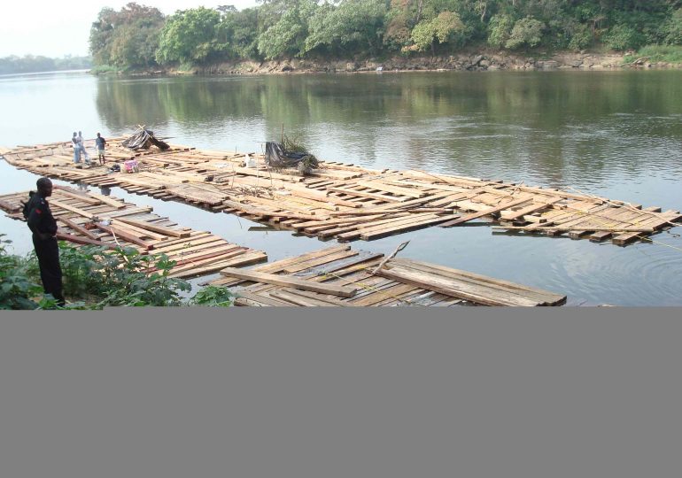 Illegal Cross-border Timber Trade Costs Cameroon Fortunes
