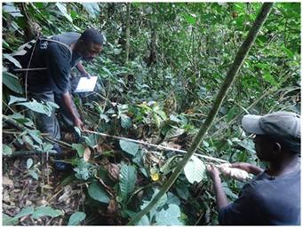 ‘Local People Monitor Forest Resources Effectively As Trained Scientists’
