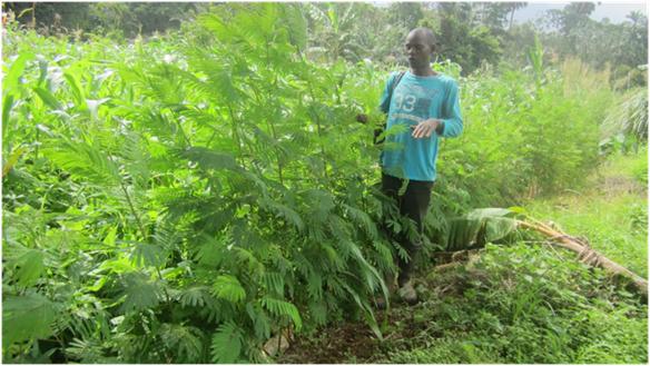Farmer Aims For Liquid Fertilizer In Bakassa
