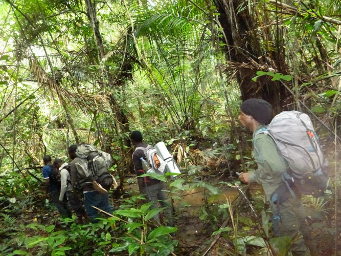 Deng Deng National Park: Winning the War against Wildlife Poaching, East Cameroon