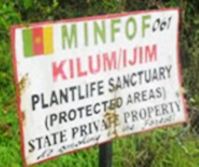 Chiefs, Conservator Conflict Over Kilum Ijim Plant Life Sanctuary Fee Collection