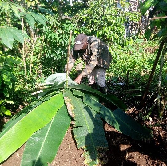 Small holder farmers at Nlonako Muanenguba mountains gain capacity on composting