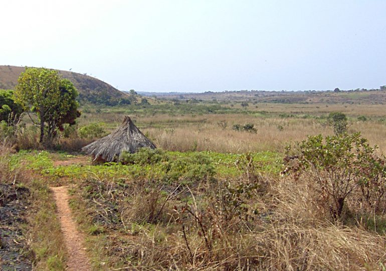 The Adamawa high plateau catchment area under intense modification