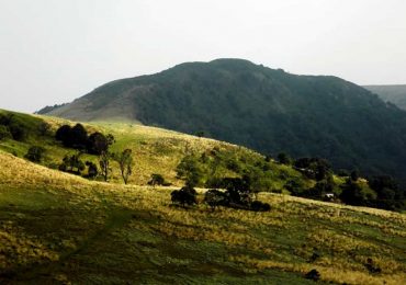 Mount Oku: A Veritable Biodiversity Hotspot